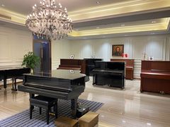 -刘健艺术钢琴学校·专注钢琴教育25周年(徐家汇校区)