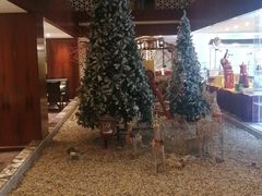 -桐庐开元名都大酒店