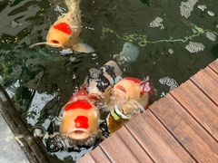 -御茶膳房皇家糕点博物馆(北京首店)