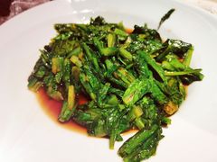 豉香油麦菜-绿茶餐厅(蓝色港湾店)