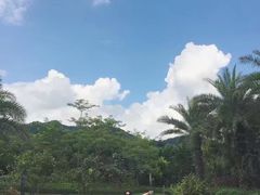 风景-广州都喜泰丽温泉度假酒店