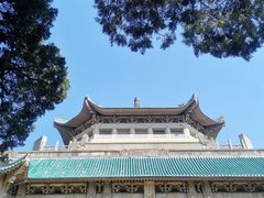 -武汉大学-樱园