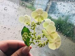 -野三坡百草畔景区