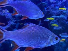 -成都浩海立方海洋公园