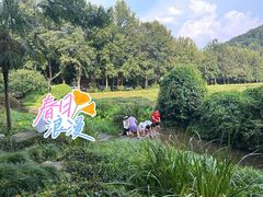 景点-中国茶叶博物馆(双峰馆区)