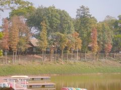 -美的鹭湖森林度假区