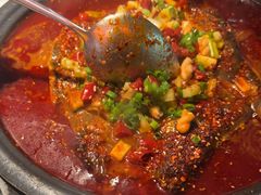 -探鱼·鲜青椒爽麻烤鱼(广州花都来又来店)