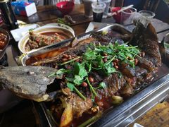 -同济大排档