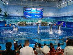 -多彩贵州城极地海洋世界