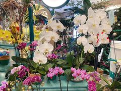 -BoBloom花店(晶耀前滩店)
