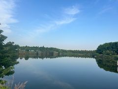 -宝岩生态观光园