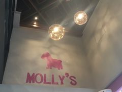 -MOLLY'S萌宠生活馆