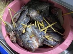 -杨合林啊兰烤鱼
