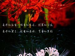 -杭州植物园