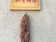 -梁家河村红色旅游区