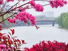 -运河游船(武林门码头)