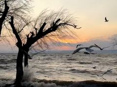 -捞渔河湿地公园