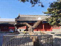 -大钟寺古钟博物馆
