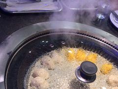 -挂雪铁锅炖大鹅