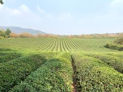 -敬亭山风景名胜区