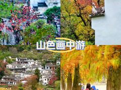 -塔川景区