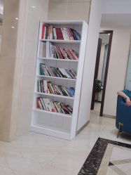 -碧莲盛·不剃发植发