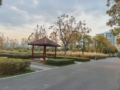 -上海山野camping·户外天幕烧烤·团建拓展营地