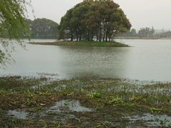 -梁鸿国家湿地公园