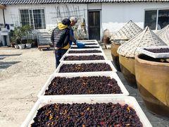 -苏州市吴中区光福窑上花果蜜饯厂