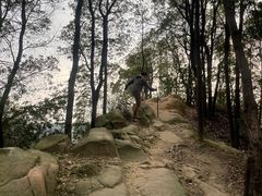 -南山植物园