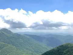 -银瓶嘴森林公园