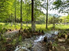 -南京市无想山景区
