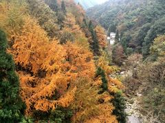 -黄山温泉国际旅游度假区