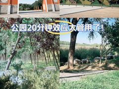-南海子公园