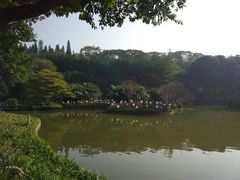 -广州雕塑公园