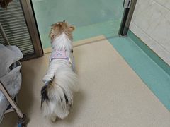 -动物缘宠物医院·骨科·猫科(西二环店)