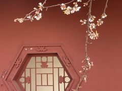 -桃花堤公园