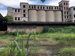 -广东花都湖国家湿地公园