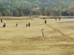 -风云岭森林公园