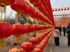 -北京凤凰岭