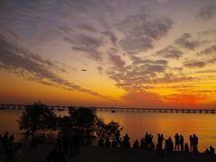 -宝安西湾红树林湿地公园