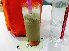 -喵的天空名猫咖啡馆·撸猫·猫舍·用品