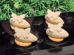 -顺德美的万豪酒店·自助餐·贡厨