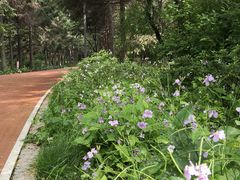 -长春市南湖公园