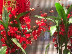 -鑫小城故事·藕汤·家常菜(台北一路总店)