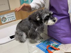 -瑞派宠物医院·24h·骨外科·皮肤科·全科宠物医疗转诊中心(沈阳浑南院)