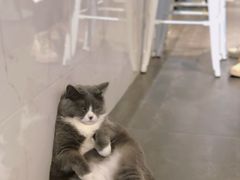 -乐果甜心·潮汕冰室(南澳后宅分店)