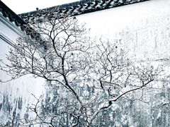 -耦园