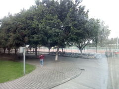 -四川大学(江安校区)