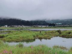 -腾冲北海湿地